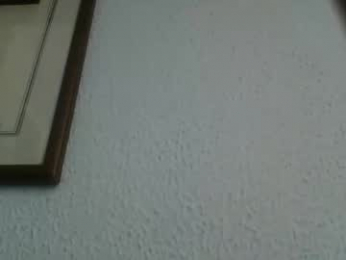 pocoyotop webcam model stream image