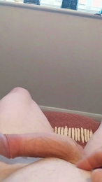 Galvonutz3 webcam model stream image