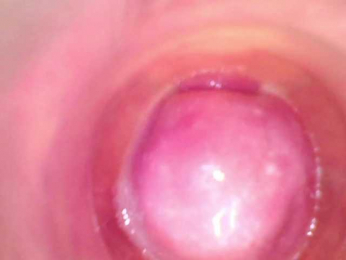 Shannon-kane webcam model stream image