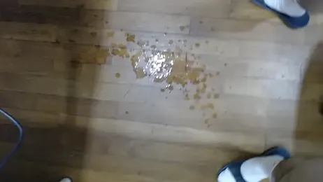 16hornydog webcam stripchat model stream image