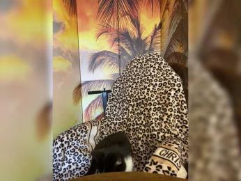 Miss-Tits2025 webcam bongacams model stream image