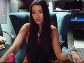 shachatte webcam model stream image