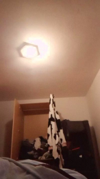 Alan6914 webcam model stream image