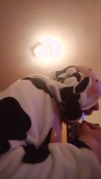 Alan6914 webcam model stream image