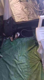 Petitebombe34 webcam model stream image