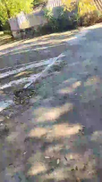 Petitebombe34 webcam model stream image