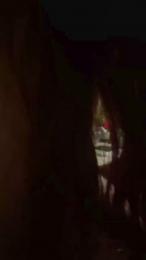 Diversionn webcam model stream image