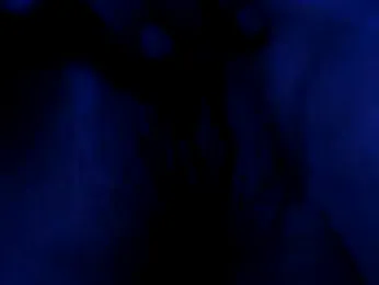 Everydayonli webcam stripchat model stream image