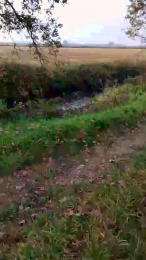 luxxuriax webcam model stream image