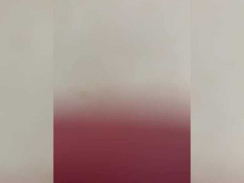 PornoRabbits webcam model stream image