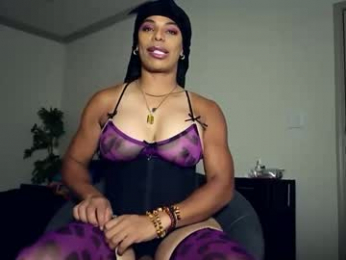 sashastrokes webcam chaturbate model stream image