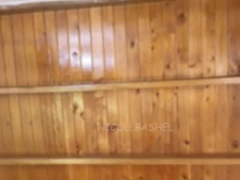 nicollbashel webcam model stream image