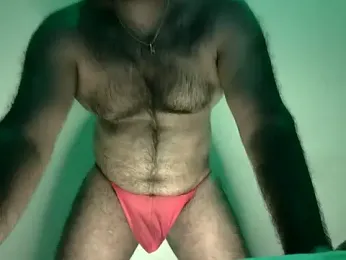 alexcsp webcam model stream image