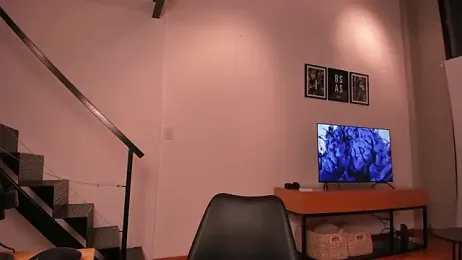 Mira_Lite webcam model stream image