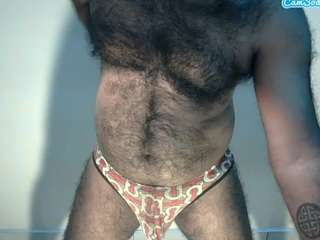alexcsp webcam model stream image