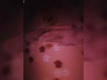 Soniya143 webcam model stream image
