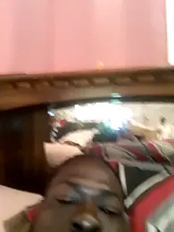 Dahbiggest91 webcam model stream image