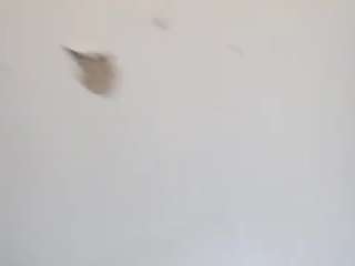 deebabyy85 webcam model stream image