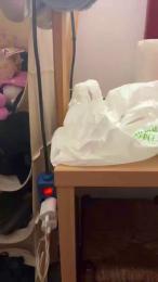 GreenTemptation webcam model stream image