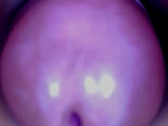 paulainoscente webcam model stream image