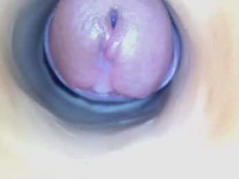 paulainoscente webcam model stream image