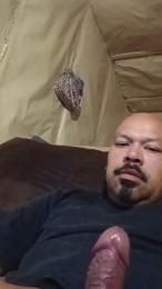 CaliMfCrooks webcam model stream image