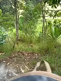 Cuervo_maniaco webcam stripchat model stream image