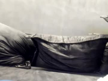 mason_fit webcam model stream image