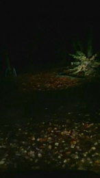 Jan_uncensored webcam model stream image