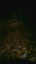 Jan_uncensored webcam model stream image