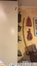 Ceppo89 webcam model stream image