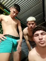 3hornys-straights webcam stripchat model stream image