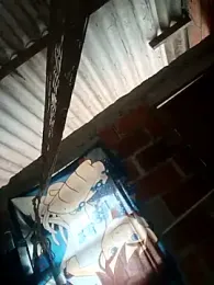 nini-will webcam model stream image