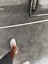 Bengali_BULL1 webcam model stream image