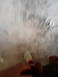 Bengali_BULL1 webcam model stream image