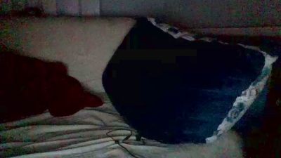 globetrotterdrv webcam model stream image