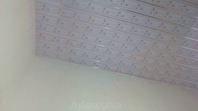 AilyShopia webcam model stream image