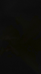 Rpk88arg webcam model stream image