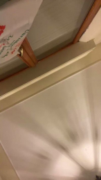 Mipiacelafiga93 webcam model stream image