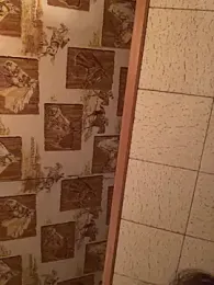 Tonybaloney1972 webcam model stream image