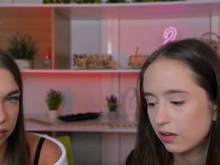 nori-mrr webcam model stream image