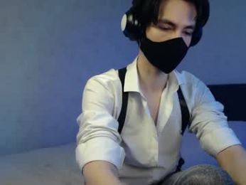 silinti webcam model stream image