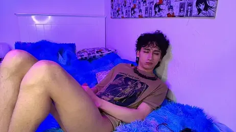 noidysis webcam model stream image