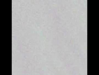 wildbelladonnats webcam model stream image