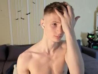 viksons webcam model stream image