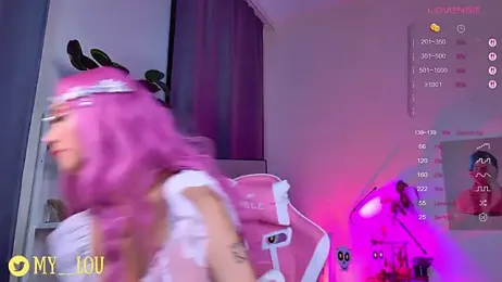 MyLoulaby webcam model stream image