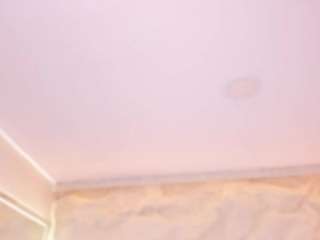 sofiathonsonn webcam model stream image