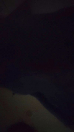 Sexytormentaa webcam model stream image