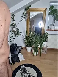 DaWoD030 webcam model stream image