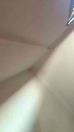 Isabelli_biasi webcam model stream image